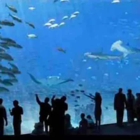 Apartamento « L'eden » - Face A La Basilique - Parking Gratuit *